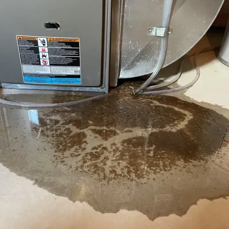 Appliance Leak Cleanup in Latrobe, PA